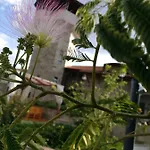 Шато Ветровитите Хълмове Ξενοδοχείο *