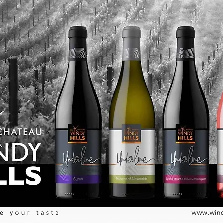 Шато Ветровитите Хълмове Sliven