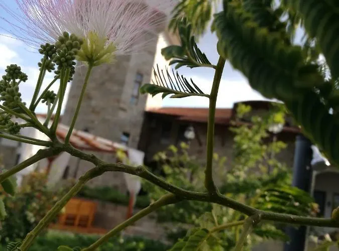 Шато Ветровитите Хълмове Hotel *