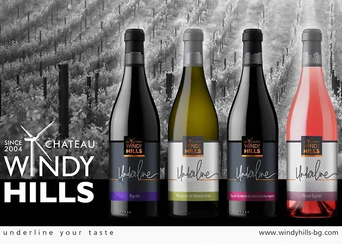 Шато Ветровитите Хълмове Sliven