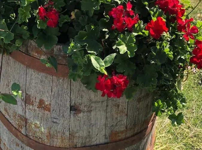 Шато Ветровитите Хълмове Hotel Sliven